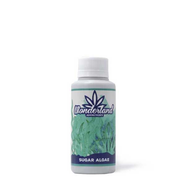 Fertilizante Sugar Algae Plus 120ML - Wonderland Fertilizante Sugar Algae Plus 120ML - Wonderland