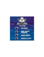 Semilla Auto All Stars Usa 12 unidades - BSF Seeds. Natural Design