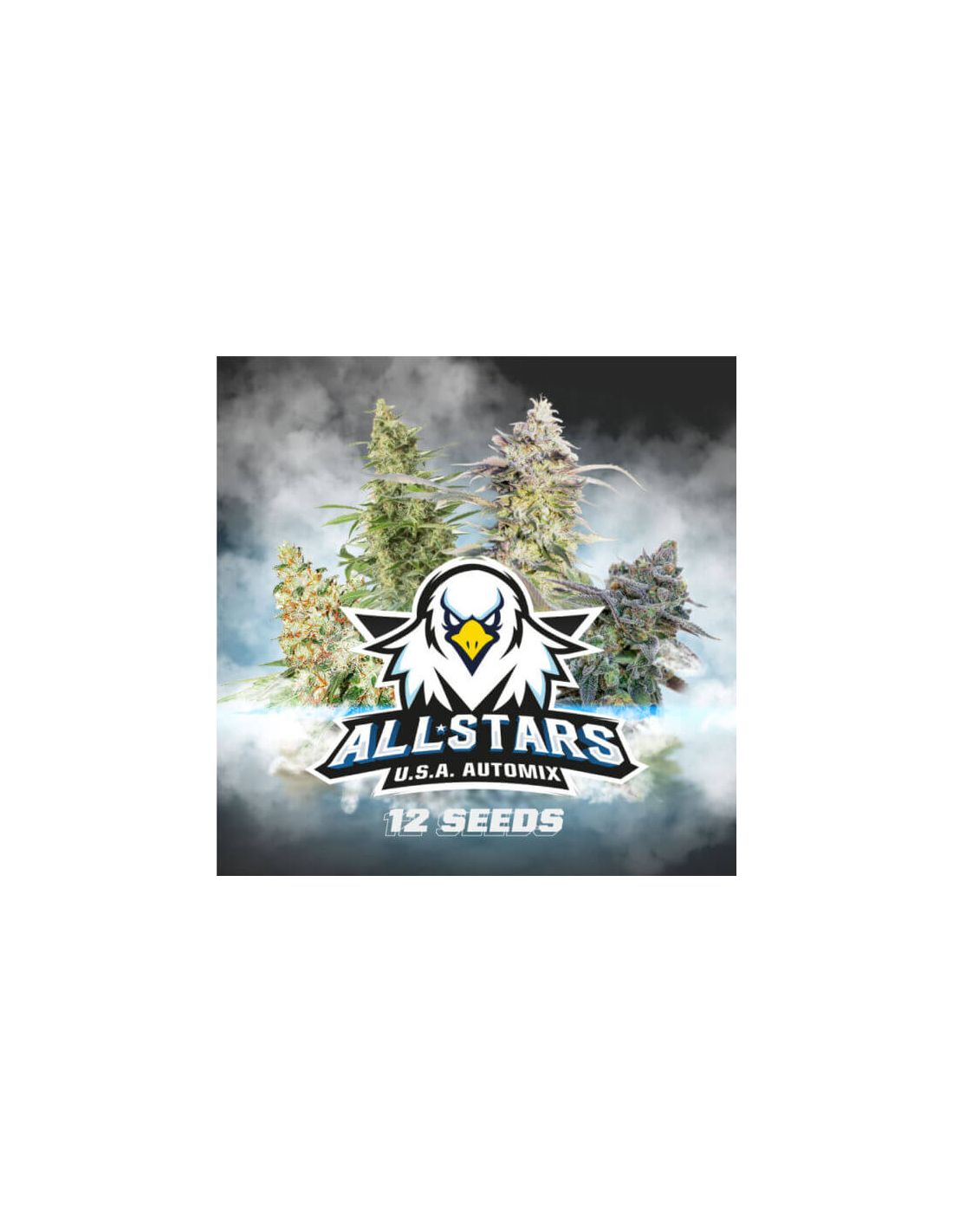 Semilla Auto All Stars Usa 12 unidades - BSF Seeds. Natural Design Semilla Auto All Stars Usa 12 unidades - BSF Seeds. Natural Design