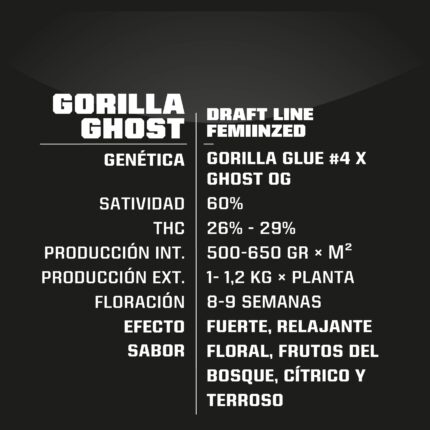 Semilla Feminizada Gorilla Ghost - BSF Seeds. Natural Design