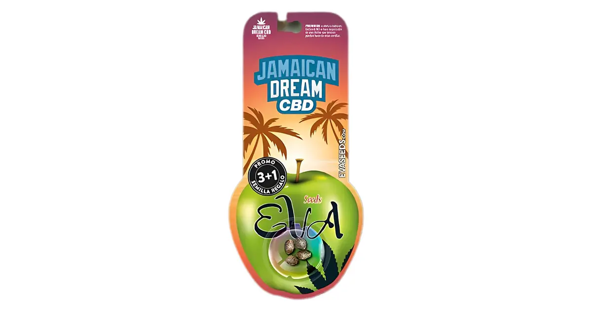 630 Semilla Feminizada Jamaican Dream CBD 4 unidades - Eva Seeds GROW NATURAL DESIGN